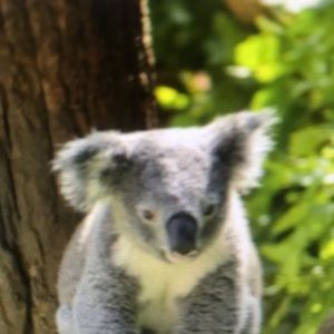 Meet your Posher, Darryl